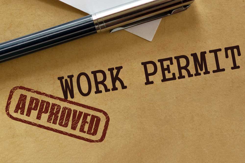Company Visa Typing